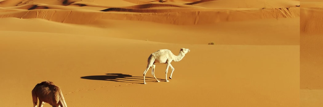 Zagora