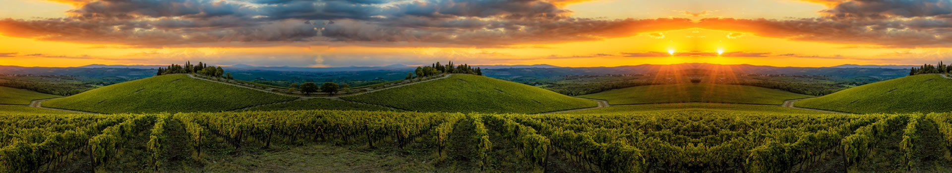 June in **Gaiole In Chianti**