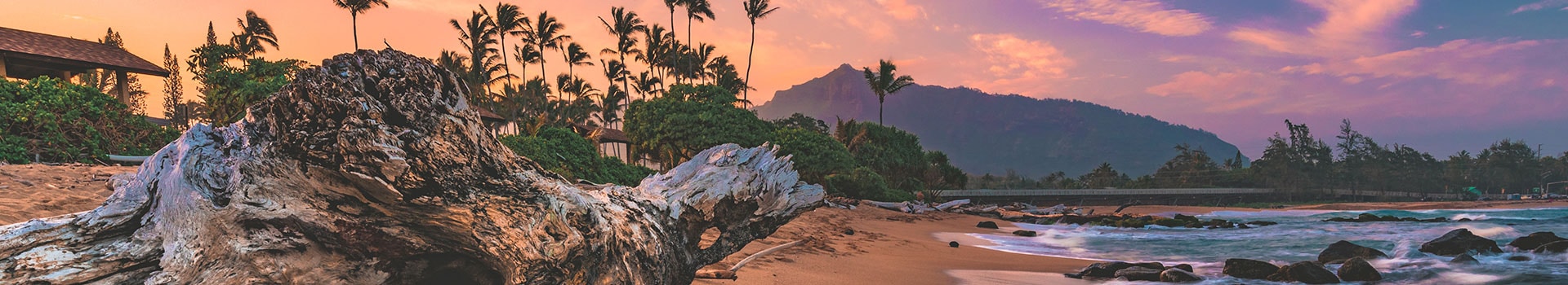 Flight+Hotel to Lihue for **Verano**