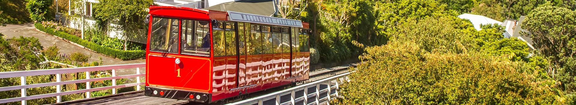 Deals of the Week in **Wellington**