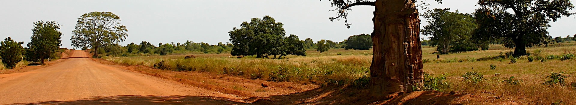 Gambia Gambia