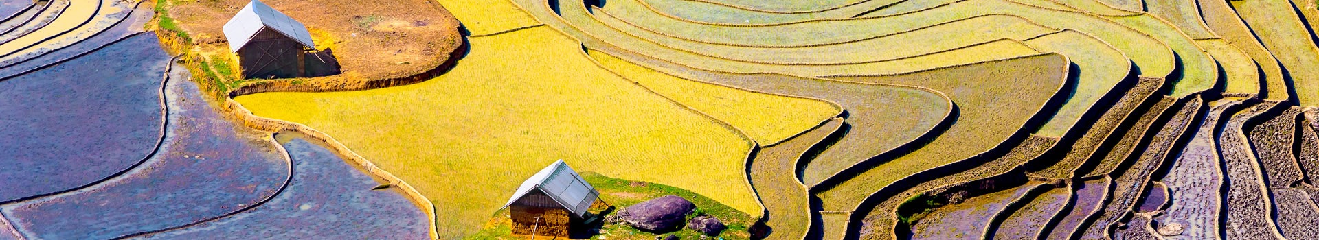 Vietnam Vietnam