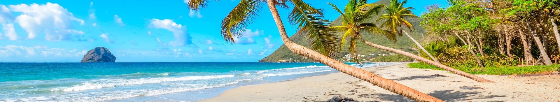 Deals of the Week in **Martinique**