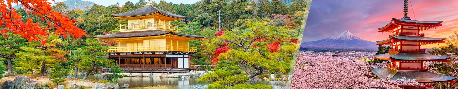 Tokyo and Kyoto