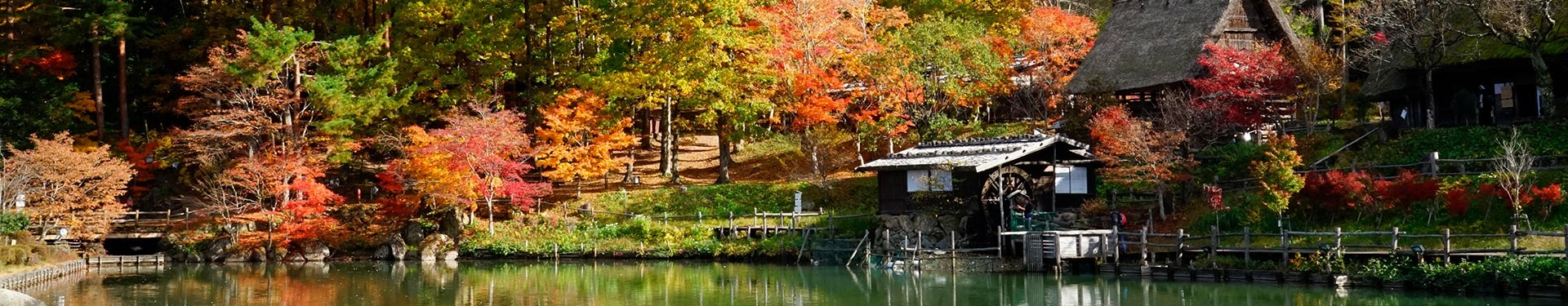 Tokyo, Osaka, Kyoto and Takayama