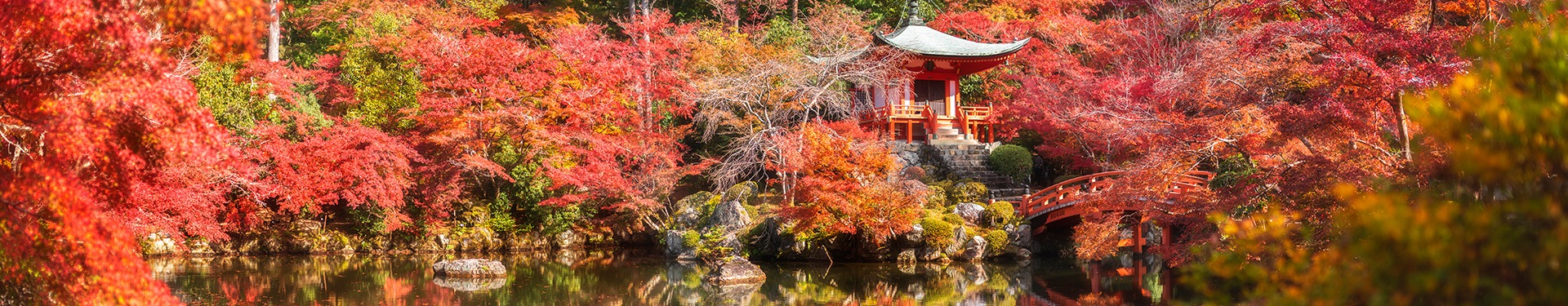 Tokyo, Takayama, Kyoto and Osaka