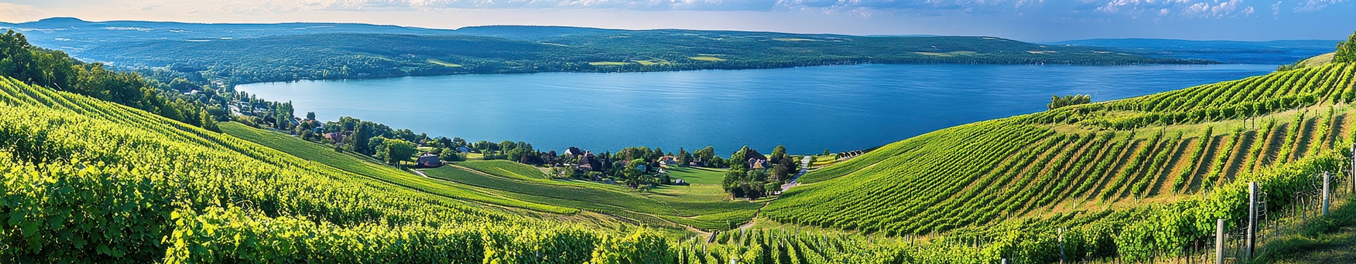 Northeast Wine Trails