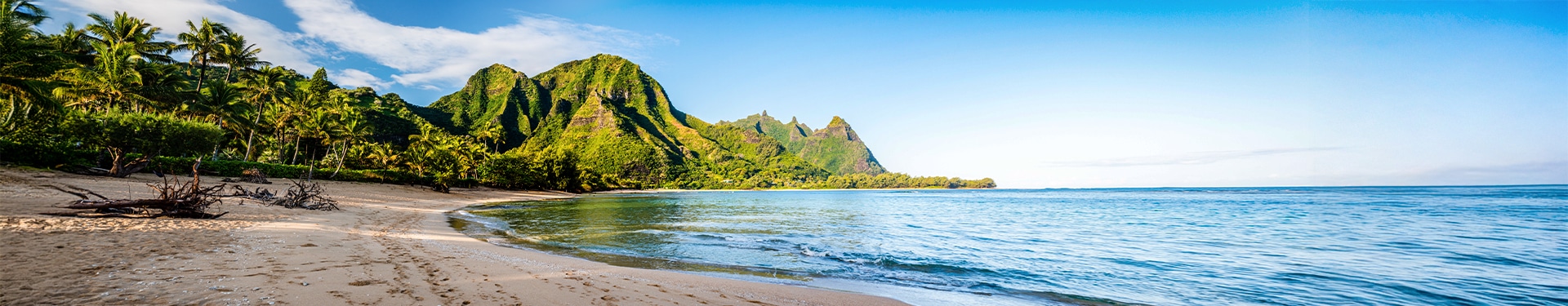 Aloha Hawaii Route