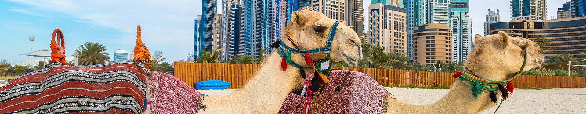 Four United Arab Emirates Route