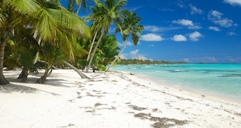 Punta Cana Punta Cana