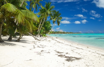 Punta Cana Punta Cana