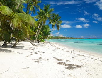 Punta Cana Punta Cana