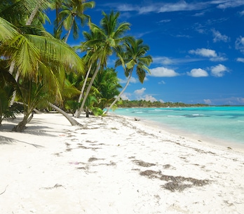 Punta Cana Punta Cana