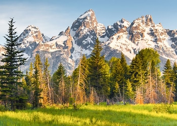 Grand Teton - Wy