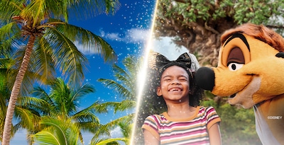 Walt Disney World Orlando and Punta Cana Walt Disney World Orlando and Punta Cana