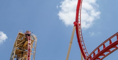 New York, Walt Disney World Orlando and Punta Cana New York, Walt Disney World Orlando and Punta Cana