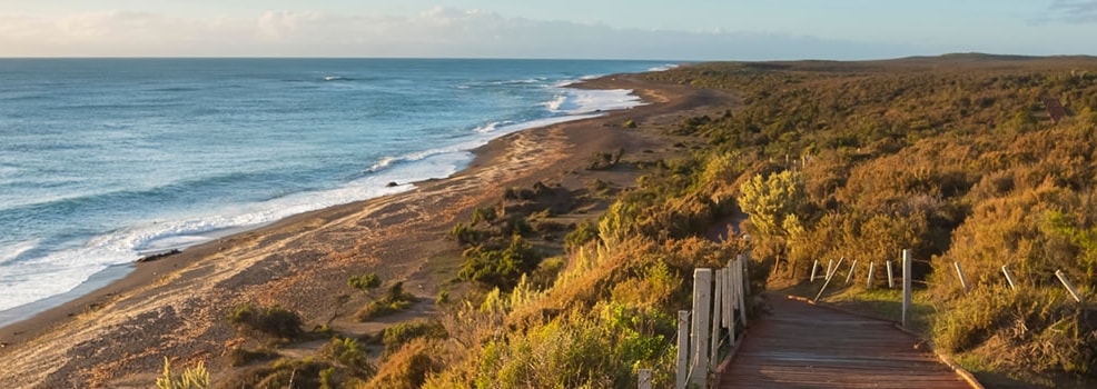 Peninsula Valdes - Chubut
