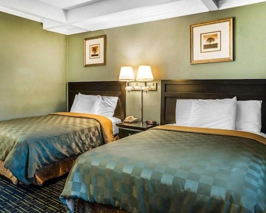 Gallery - Hotel H-Wood