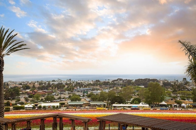Gallery - Grand Pacific Palisades