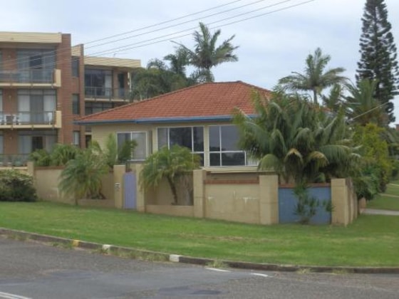 Gallery - Koala Tree Motel