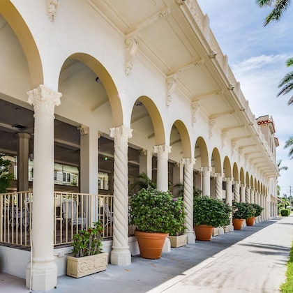 Gallery - Tropicals Of Palm Beach