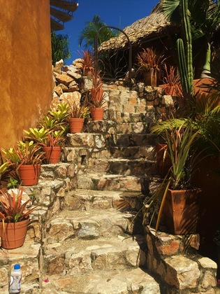 Gallery - Casitas Del Mar Sayulita