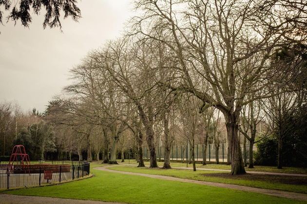 Gallery - Dcu Rooms - Campus Accommodation