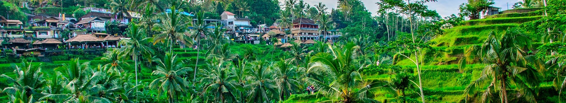 Tours Ubud