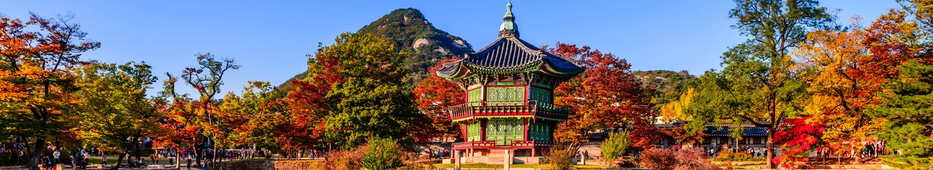 Multi Centre South Korea