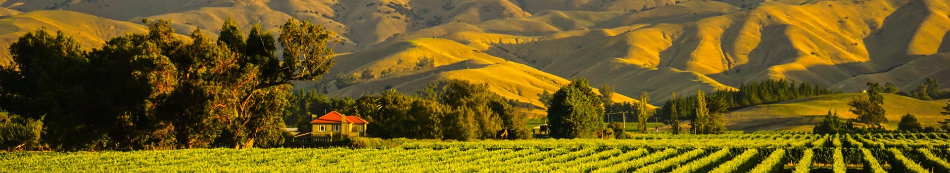 Fly & Drive New Zealand