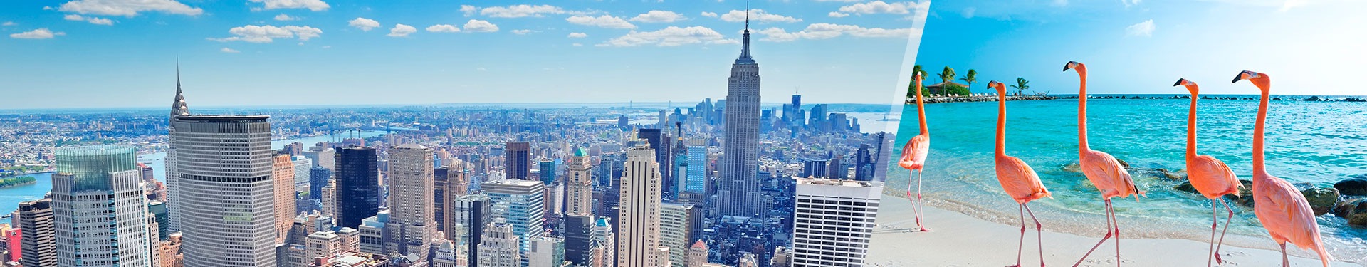 New York and Aruba