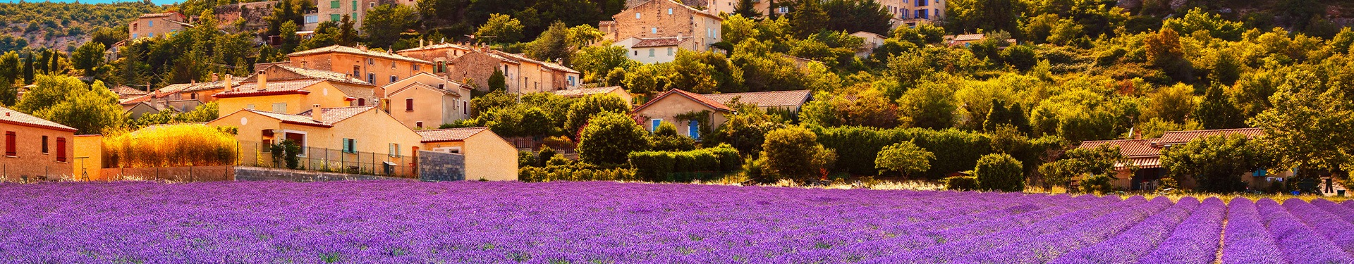 Lavender Route around Provence and the French Riviera