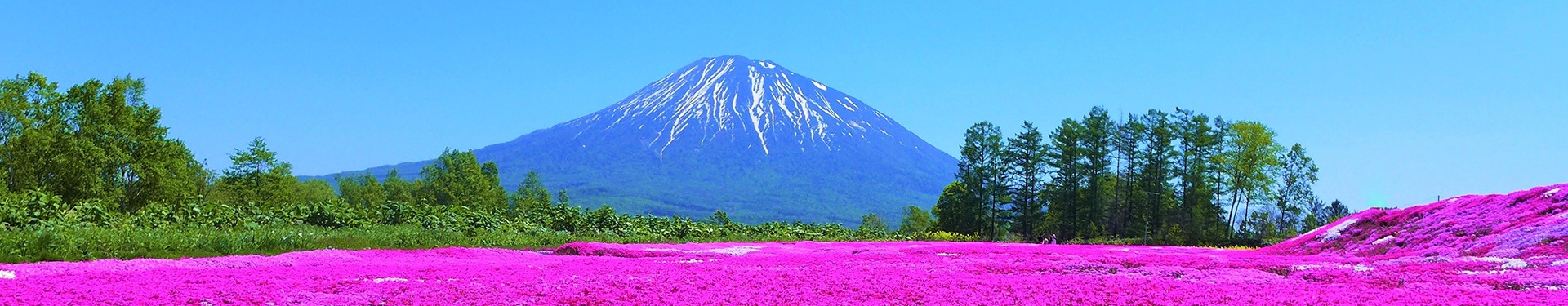 Hokkaido and Tokyo Route