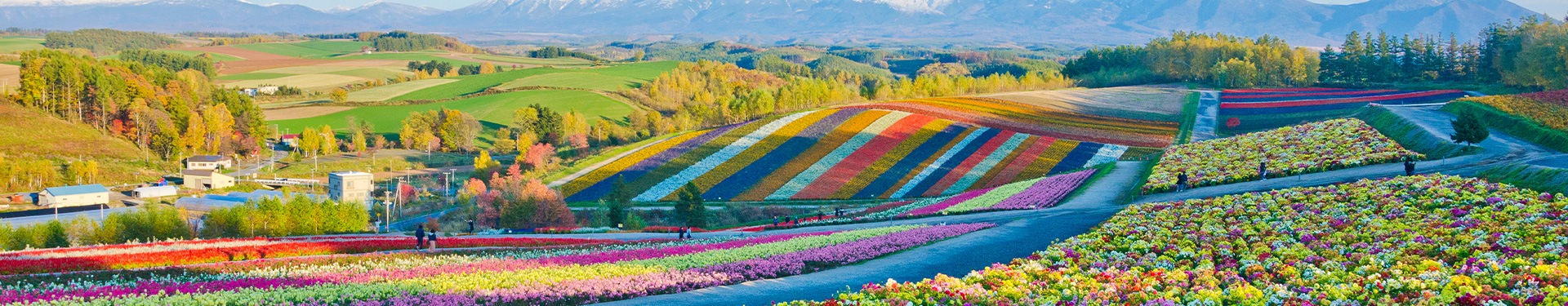 Hokkaido Route