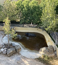 Jardim Zoologico