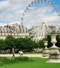 Jardin Des Tuileries