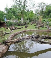 Zoological Gardens