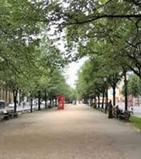 Strasse Unter Den Linden