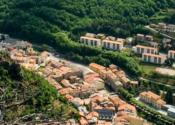 Ribes de Freser