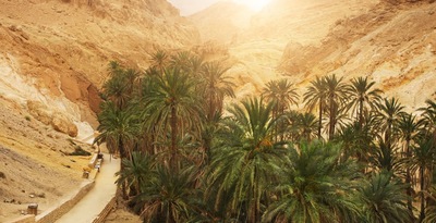 Route through Oases, Sea and Dunes