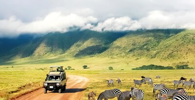 Tarangire, Serengeti, Ngorongoro and Zanzibar