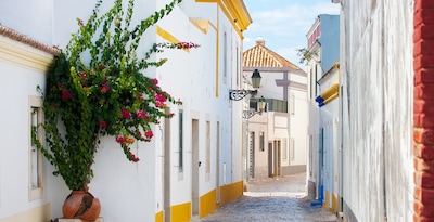 Faro