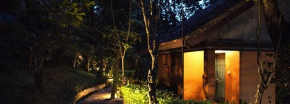 Abad Green Forest