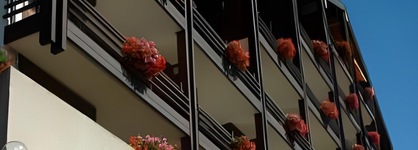 Hotel Vanessa