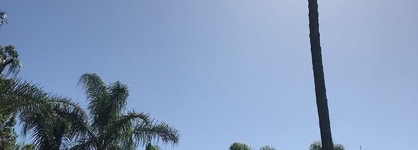 Lani's Holiday Island - Caravan Park