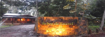 Selva De Laurel