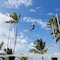 Occidental Caribe - All Inclusive - map