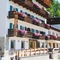 Hotel Des Alpes - map