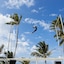 Occidental Caribe - All Inclusive