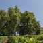 Relais Du Château D'arche